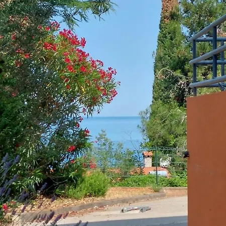 Henc * Novigrad Istria