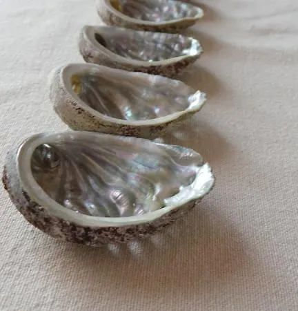 Henc * Novigrad Istria