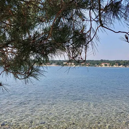 Henc Novigrad Istria