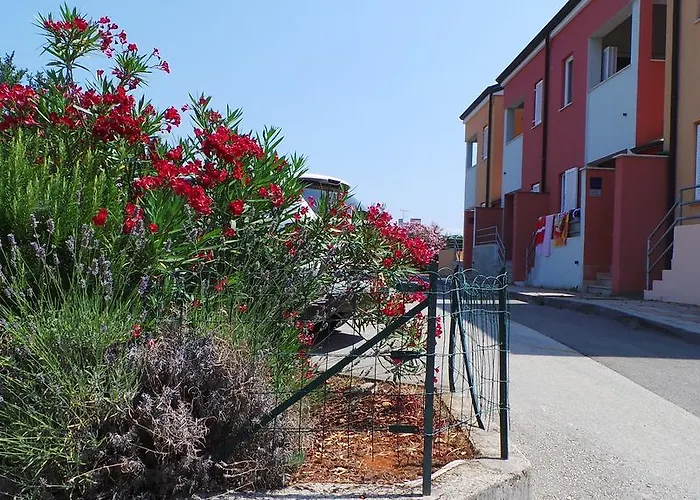 Henc 公寓 Novigrad Istria