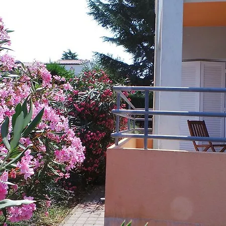 Henc Novigrad Istria