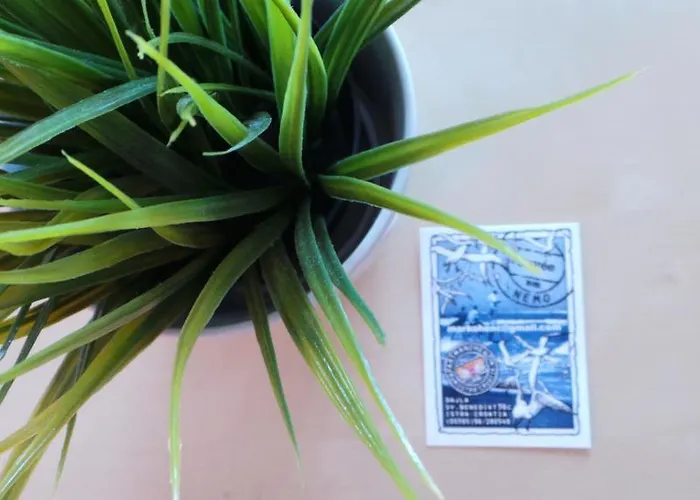 Henc Novigrad (Istria)