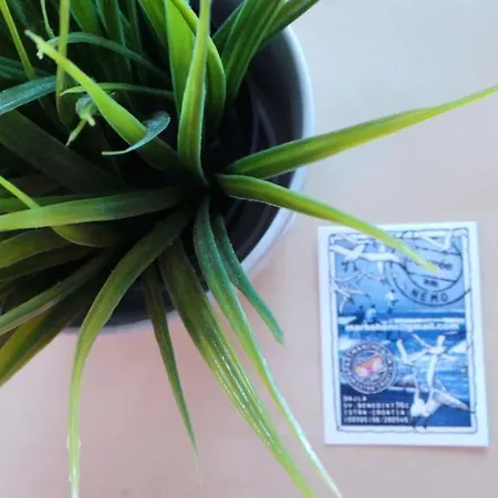 Henc Новиград