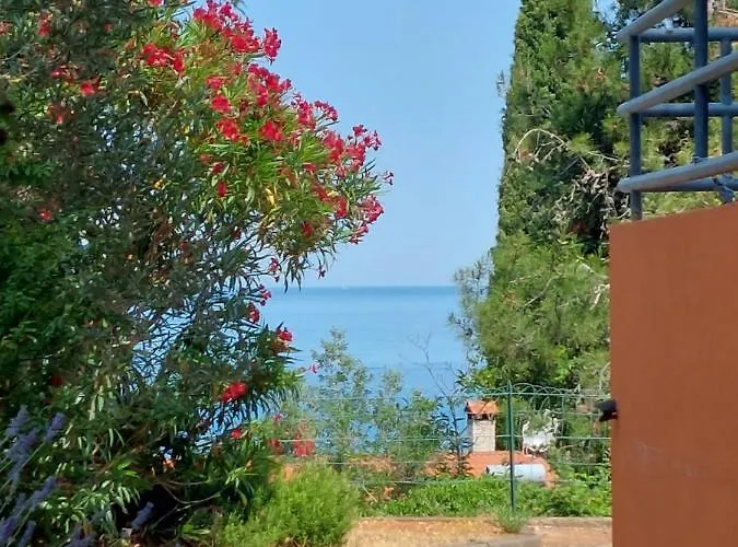 Henc * Novigrad Istria