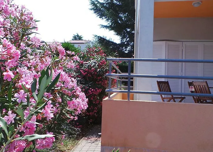 Henc Novigrad Istria