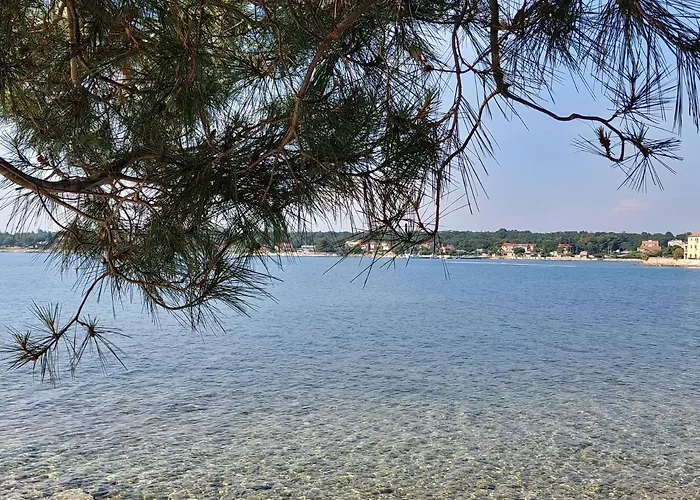 Henc Novigrad Istria
